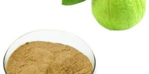 Spray Dried Guava Powder
