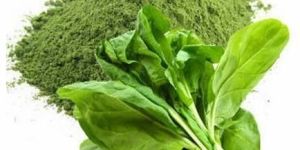Dehydrated Spinach Powder
