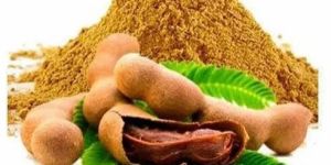 Spray Dried Tamarind Powder