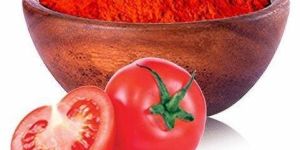 Spray Dried Tomato Powder