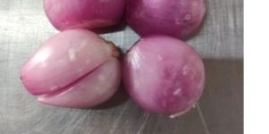 Pink Onion