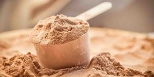 Protein Powder