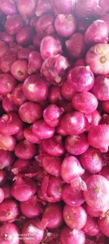 Nashik Red Fresh Onion