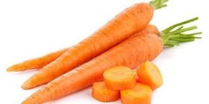 Fresh Carrot