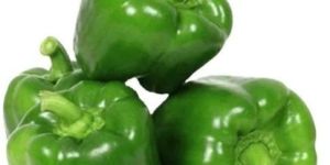 Fresh Green Capsicum