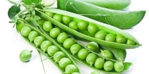 Fresh Green Peas