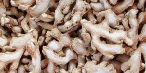 Dry Ginger