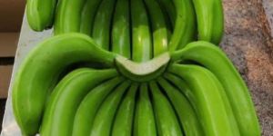 Green Banana