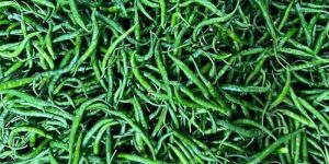 Green Chilli