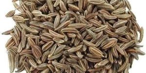 Cumin Seeds