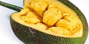 Fresh Jackfruit