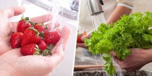 Freshezu Vegetables and Fruits Wash