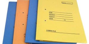 Multicolor Cardboard Cobra File