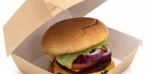 Paper Burger Box