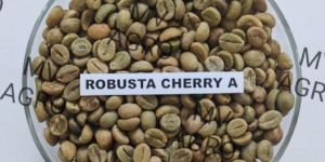 Robusta Cherry a Unwashed Green Coffee Beans Screen 17