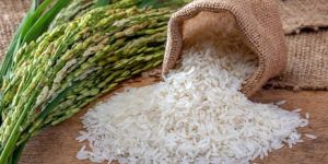 Basmati Rice