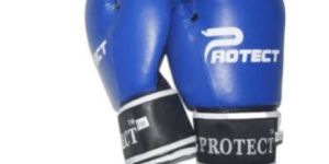 Professional Boxing Glove
