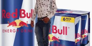 Red Bull Energy Drink