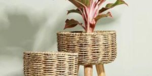 Jute Planter