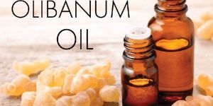 Olibanum Oil