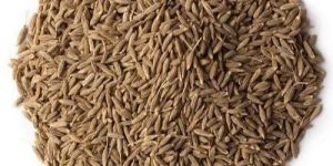 Cumin Seeds