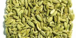 Fennel Seeds