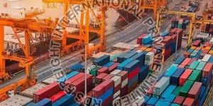 Commercial Custom Clearing Service