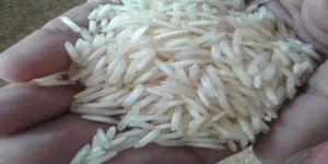1121 Basmati Rice