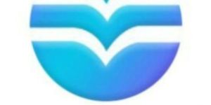 Break Bulk Cargo Service