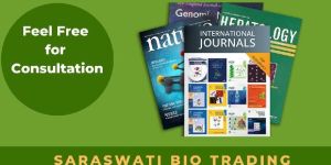 Research Paper Writing Service