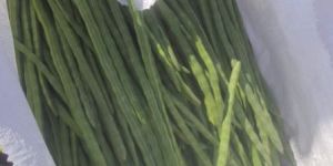 Fresh Vegetables