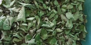 Raspberry Leaves