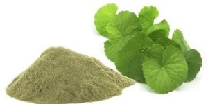 Brahmi Powder