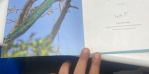 Catalogue Printing