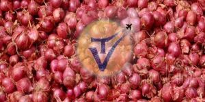 chinna vengayam - Sambar onion