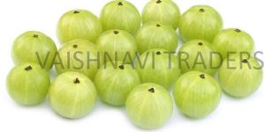 Fresh Green Amla / Gooseberry - Supplier