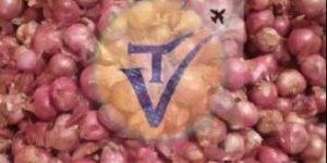 Indian Shallot Onion