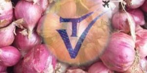 Tamilnadu Small Onion
