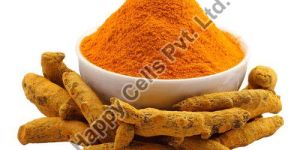 Turmeric Powder
