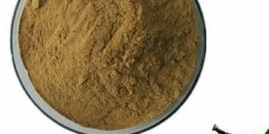 Amla Extract
