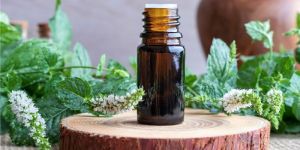 Peppermint Essential Oil