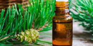 Pine Essential Oil