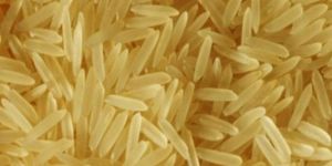 1509 Golden Sella Basmati Rice