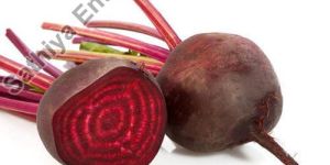 Fresh Beetroot