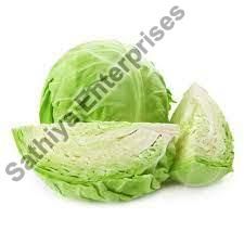 Fresh Cabbage