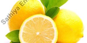 Fresh Lemon