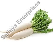 Fresh Radish