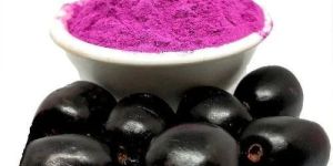 Jamun Powder