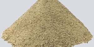 Rice Gluten