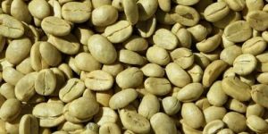 Raw Coffee Bean